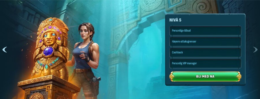 Larabet har et VIP-program med fem nivåer