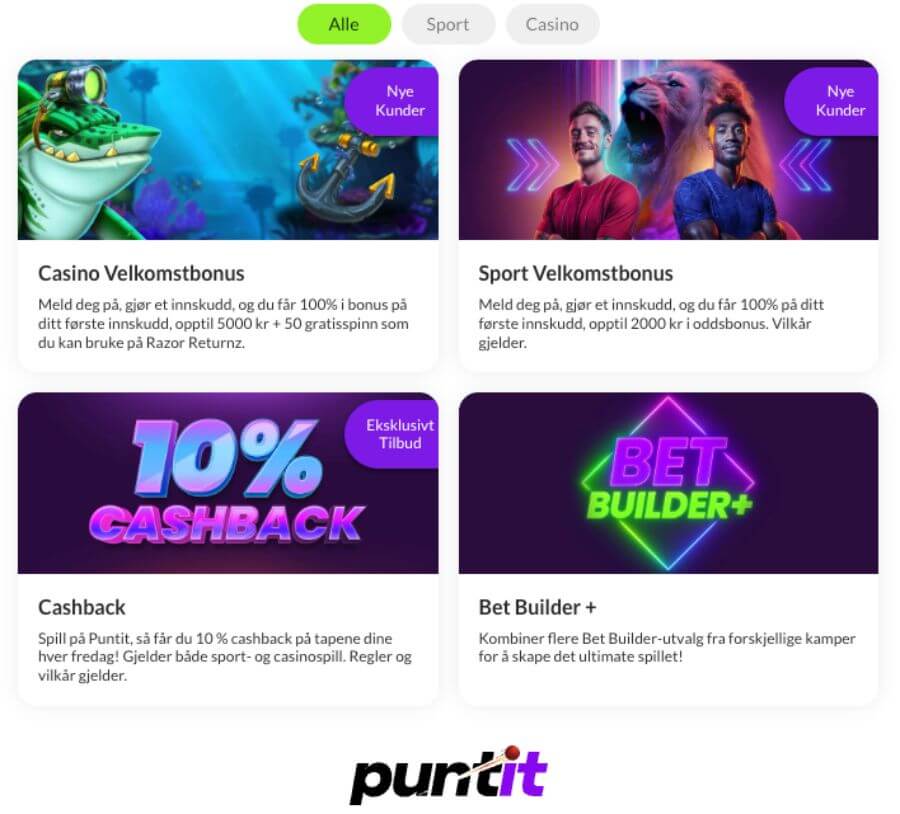 Kampanjesiden til Puntit