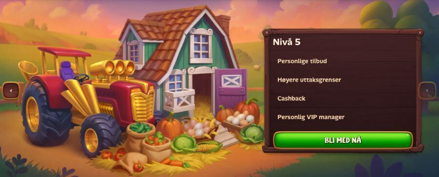 Roostino har et eget VIP-program