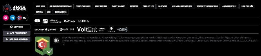 Informasjon om betalingsmetoder på nettsiden til SlotsVader