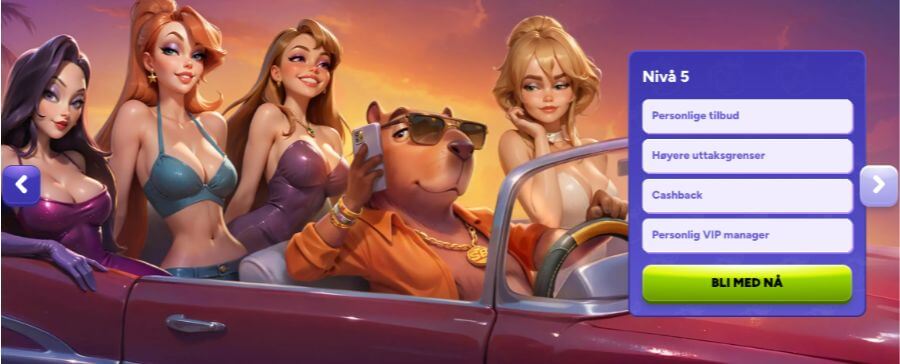 Spinbara har et VIP-program med fem nivåer