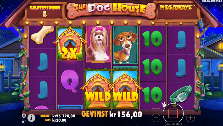 The Dog House Megaways™ free spins