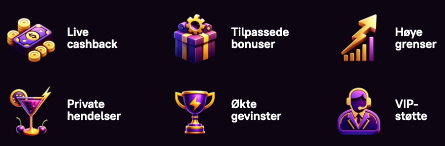 Zoome har et VIP-program