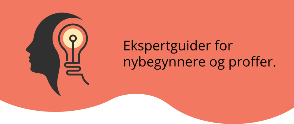 Ekspertguider for nybegynnere og proffer på casino