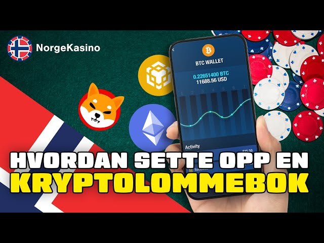 Hvordan sette opp en kryptolommebok i Norge - 2025 - (Begynnerveiledning!)