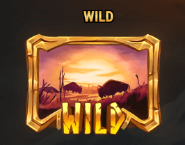 Beasts of Fire - Wilds