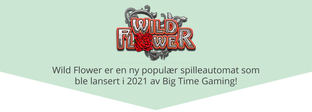 Ny spilleautomat - Wild Flower av Big Time Gaming
