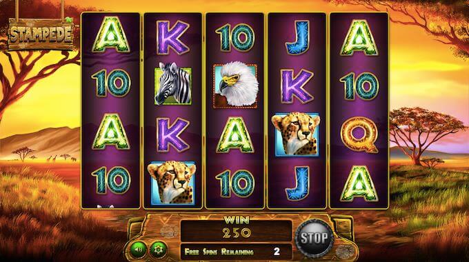 Stampede free spins